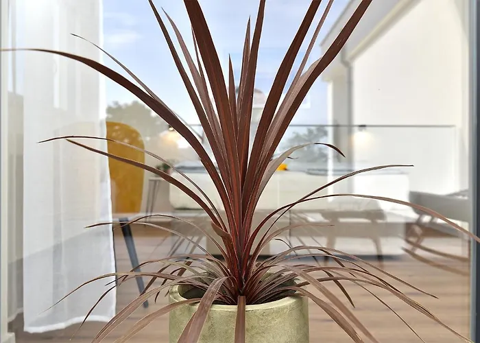 Jlo1 Mit Beheizbarem Pool *